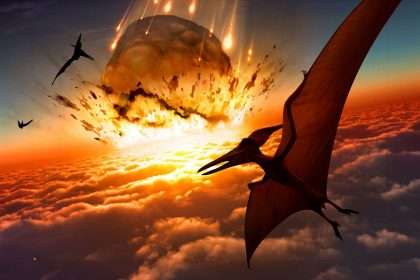 Most Dinosaurs Died From Climate Change, Not Meteorites, New Study