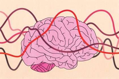 New Study Finds That Women's Brains Change Throughout The Menstrual