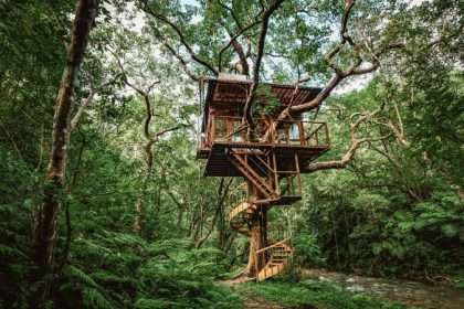 One Of Japan's Most Elegant Hotels Is Actually A Treehouse