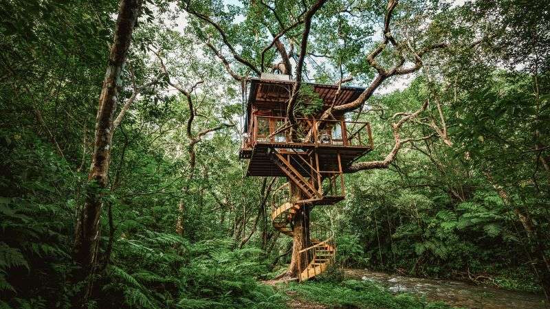 One Of Japan's Most Elegant Hotels Is Actually A Treehouse