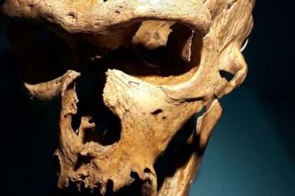 Significant Discovery Shows Neanderthals Could Produce Human Like Language: Sciencealert
