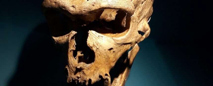 Significant Discovery Shows Neanderthals Could Produce Human Like Language: Sciencealert
