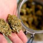 Using Marijuana During Pregnancy May Increase Risks To Your Baby