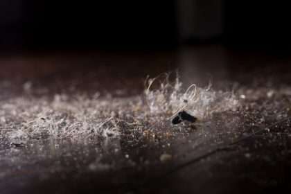 Why Indoor Allergies Worsen In Winter