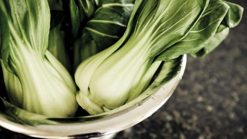 11 Bok Choy Recipes That Are Sure To Be A