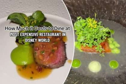 $2,500 Disney World Dinner Check Sparks Debate On Social Media