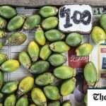 Addictive Betel Nut Causes Record Cancer Rates, Yet Millions Continue