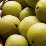 Amla Season Has Arrived!try This Two Ingredient Amla Recipe For Digestion