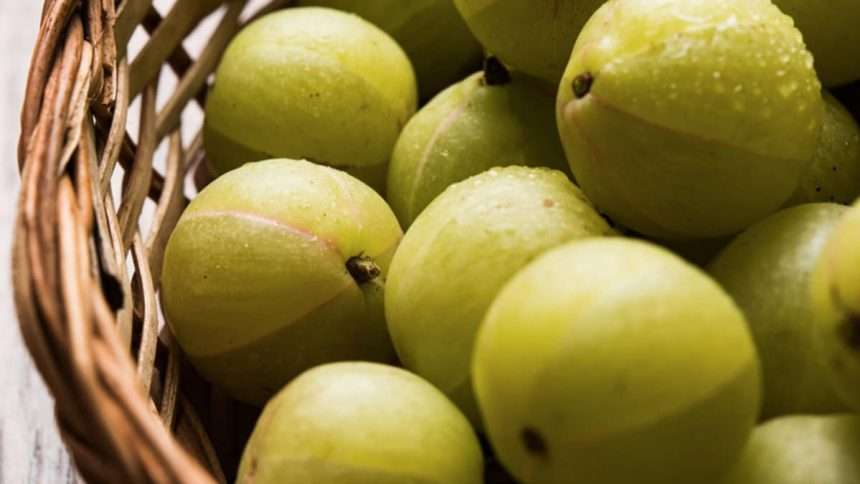 Amla Season Has Arrived!try This Two Ingredient Amla Recipe For Digestion