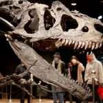 Another Explosive Theory Of Dinosaur Extinction