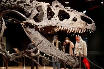 Another Explosive Theory Of Dinosaur Extinction