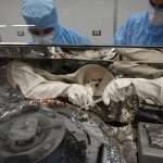 Asteroid Fragments Brought To Earth May Provide Clues To The