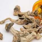 Can Magic Mushrooms Replace Oxycodone? Psychedelic Compounds May Help Treat