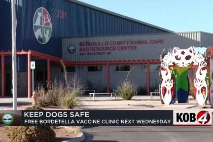 Canine Respiratory Disease Epidemic Prompts Free Vaccine Clinic