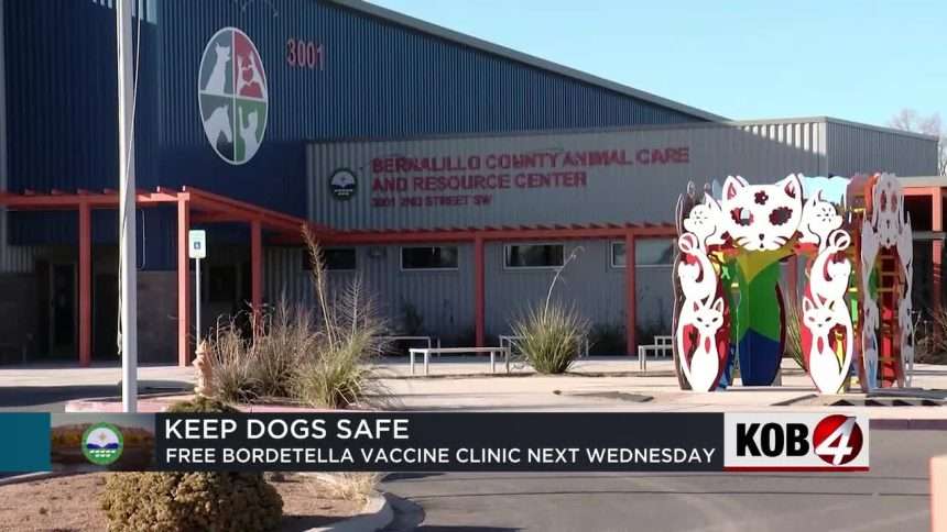 Canine Respiratory Disease Epidemic Prompts Free Vaccine Clinic