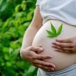 Cannabis Use Linked To Increased Risk Of Poor Pregnancy, Study