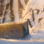 December Community Day Timed Research Tasks And Rewards
