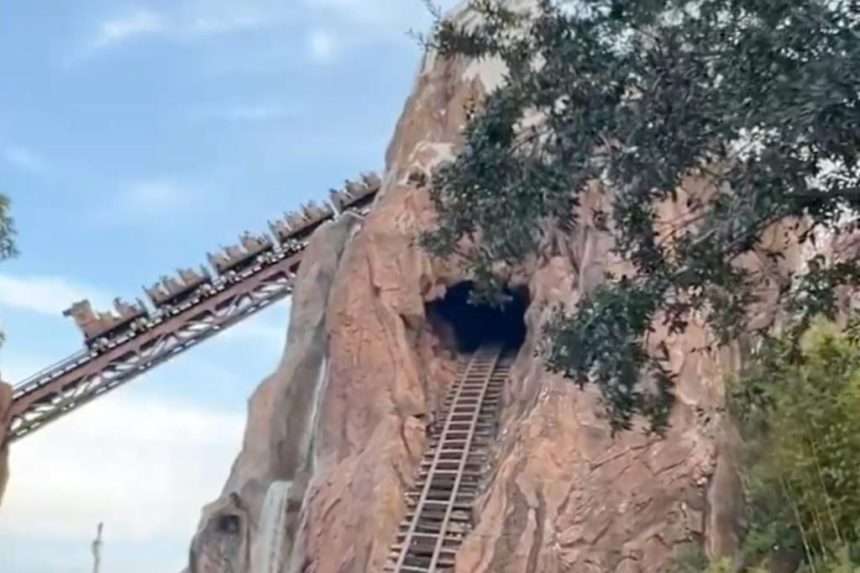Disney World Guests Stuck On Steep Roller Coaster Hill For