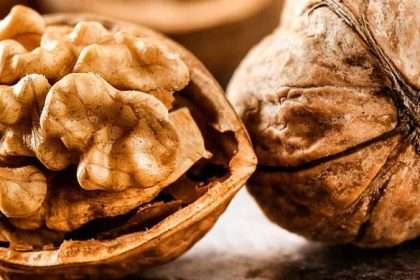 Here's Why You Should Include Omega 3 Rich Walnuts In Your Diet