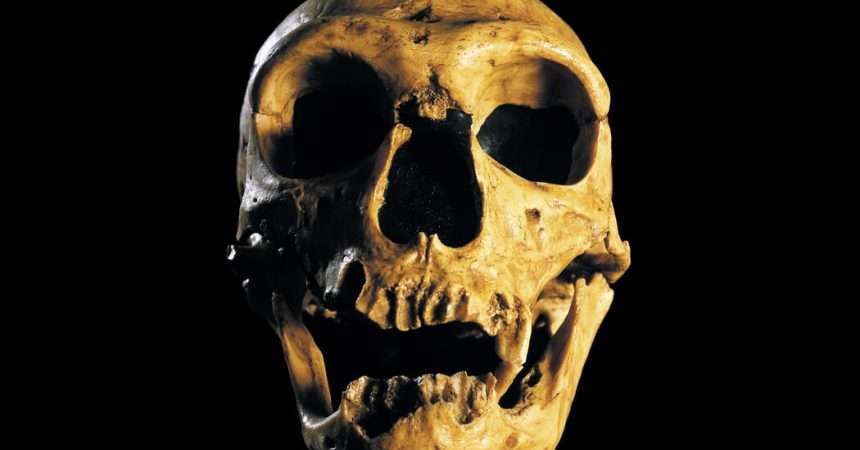 Morning Person? You May Have Neanderthal Genes To Thank.