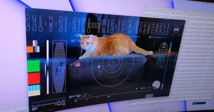 Nasa Streams Cat Videos From Deep Space