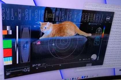 Nasa Uses Laser To Transmit Video Of Cat Named Tater