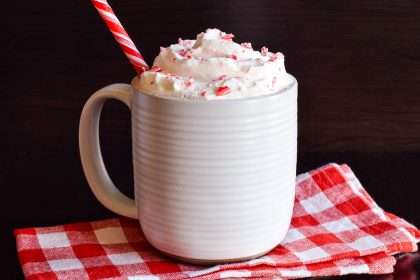 Peppermint Hot Chocolate (easy Recipe)