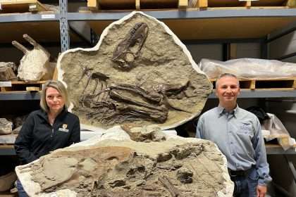 Scientists Reveal For The First Time Tyrannosaurus Fossil With Preserved