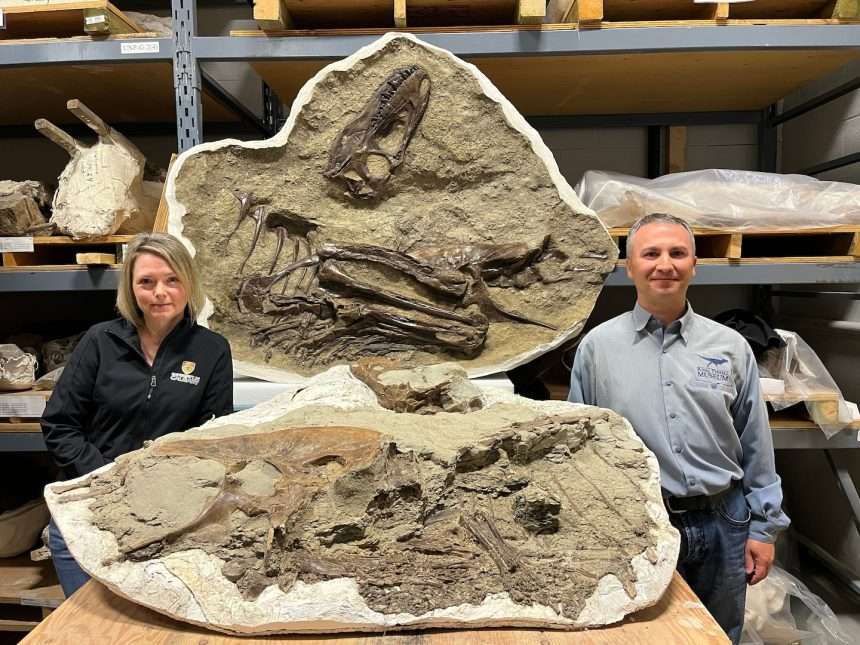 Scientists Reveal For The First Time Tyrannosaurus Fossil With Preserved