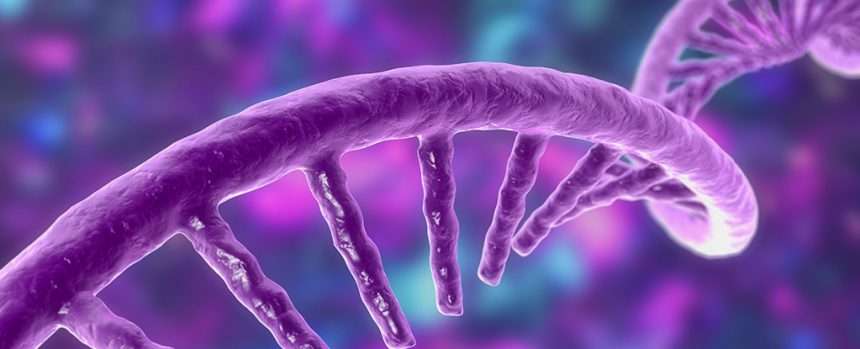Scientists Reveal New Way Our Dna Creates New Genes From