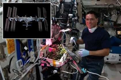 Space Tomato Missing On International Space Station Discovered