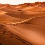 The Sahara Desert Was Once A Lush Savannah: Study Explains