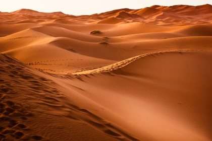 The Sahara Desert Was Once A Lush Savannah: Study Explains