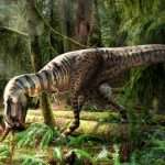 Tyrannosaurus Rex Found With Last Meal Preserved In Stomach