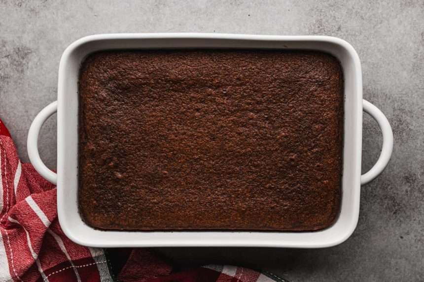 100% Satisfaction Guaranteed Gingerbread Cake Recipe Gingerbread Cake Pan