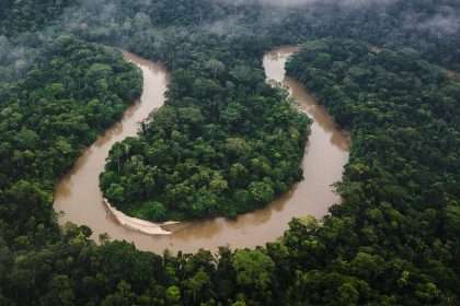 Amazon's 'valley Of Lost Cities' Discovered And Built Thousands Of