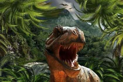 Fossil Research For Dinosaur Hormones Underway