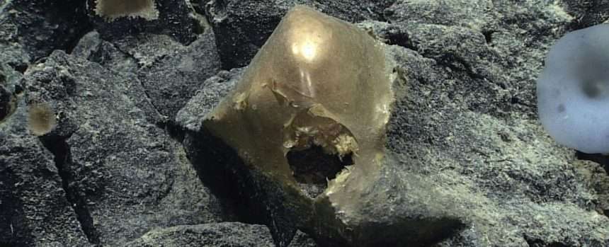 Golden Ball Discovered At The Bottom Of The Ocean Baffles