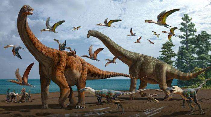 How The Asteroid That Wiped Out The Dinosaurs Created Mushrooms
