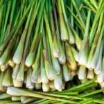 How To Cook With Lemongrass