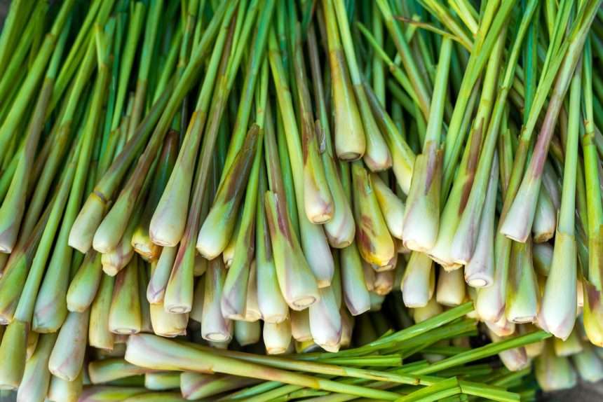 How To Cook With Lemongrass