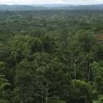 Huge Network Of Ancient Cities Discovered In The Amazon Rainforest