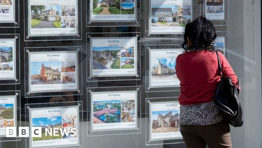 Interest Rates Are Still Expected To Be Cut Despite Rising