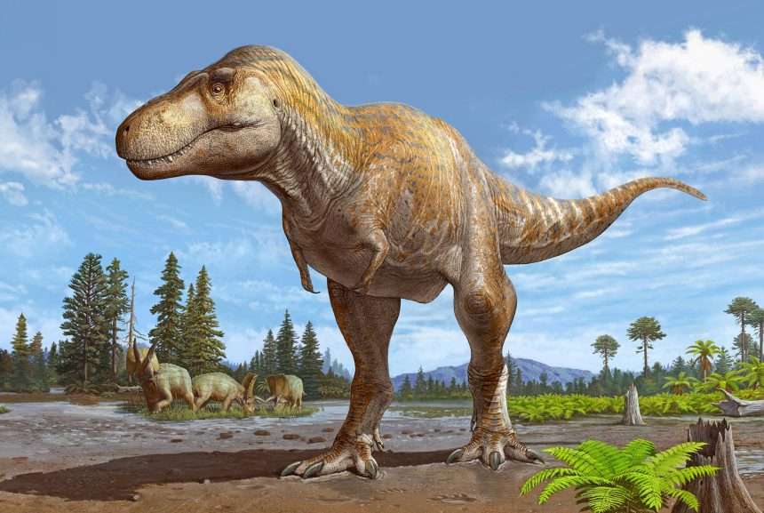 New Fossil Discovery Sheds Light On Tyrannosaurus Rex's Oldest Known