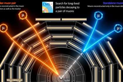Pioneering Particle Search Using The Large Hadron Collider