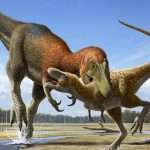 Research Aims To Bring Nanotyrannus, A Smaller Tyrannosaurus, Back From