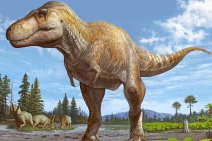 T. Rex's Older Cousin Unearthed In New Mexico