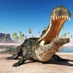 Unknown Creature's 'fossilized Skin' Dates Back 286 Million Years •