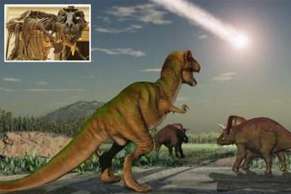 What We Thought We Knew About Tyrannosaurus Rex Was Wrong,