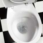 Is It Better To Flush The Toilet With The Lid